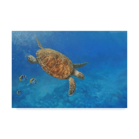 Michael Jackson 'Large Sea Turtle' Canvas Art,22x32